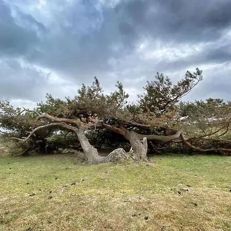 Tatil Evi Tranquil Retreat In Rageleje-by Traum