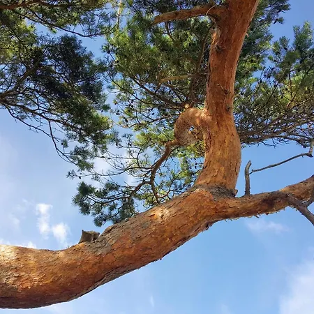 Tranquil Retreat In Rageleje-by Traum Vejby