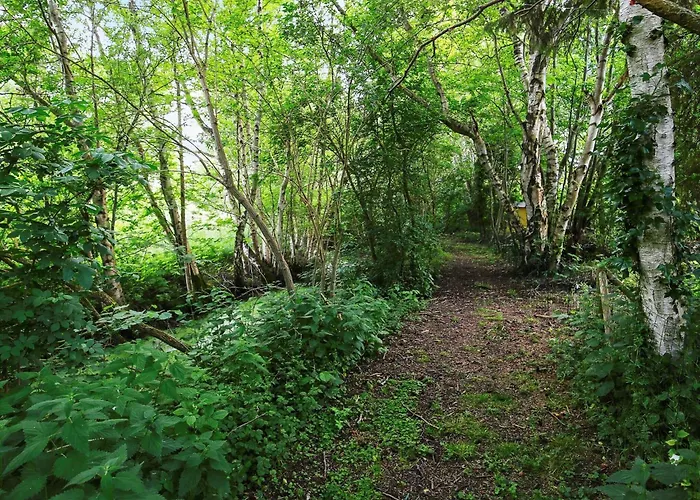 Tranquil Retreat In Rageleje-by Traum Сasa de vacaciones Vejby