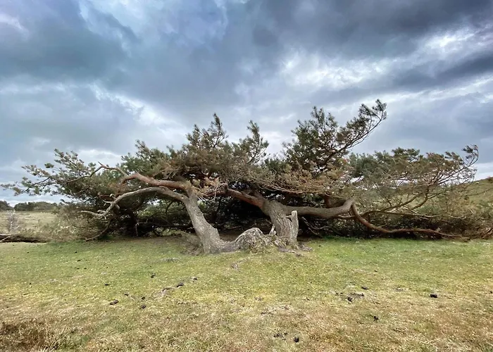 Сasa de vacaciones Tranquil Retreat In Rageleje-by Traum