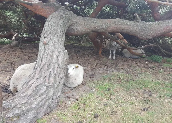 Сasa de vacaciones Tranquil Retreat In Rageleje-by Traum Vejby