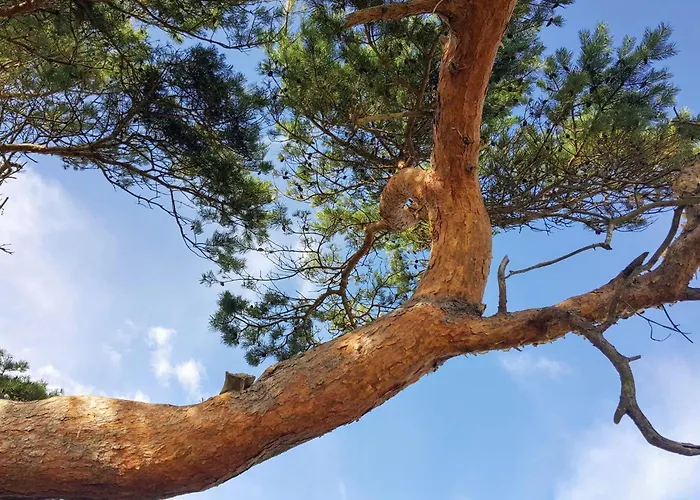 Tranquil Retreat In Rageleje-by Traum Vejby